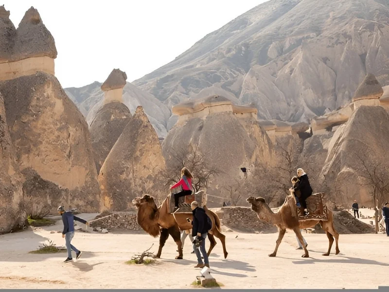 Cappadocia Camel Ride — Pigeon Valley, Sunrise / Midday / Sunset