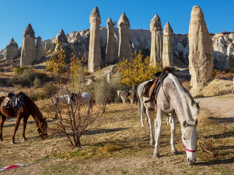 Private Horseback Riding Cappadocia — Anatolian Horses, Sunset Valley Trail, Engagement-Friendly